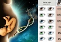 “Mammai vai tētim līdzīgs?” Daži pārsteidzoši fakti no ģenētikas pasaules. Lūk, kā noskaidrot kam bērns līdzīgs!