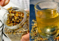 Ko ārstē kumelīšu tēja: 12 medicīniski pierādītas īpašības. Izcils dzēriens