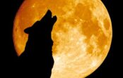 Astrologi nosauca dažas zodiaka zīmes, kurām 7.maijā (šodien) pilnmēness atnesīs neizsakāmu laimi un visi strīdi beidzot beigsies Astrologi nosauca dažas zodiaka zīmes, kurām 7.maijā (šodien) pilnmēness atnesīs neizsakāmu laimi un visi strīdi beidzot beigsies