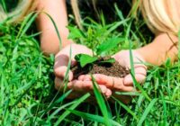 Kādi darbi veicami dārzkopjiem pašā rudens sākumā. Ievēro šos ieteikumus, un raža priecēs! Jau 3.septembrī jāsāk daži darbi