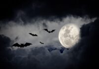 Rīt, 31.oktobrī gaidāms zilais mēness. Tas apvienojumā ar Helovīnu jeb mirušo dienu radīs īpašu gaisotni visas dienas garumā