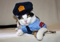 Šī kaķa priekšā pat policijas priekšnieki noņēma cepures un salutēja. Kad izlasīju ko viņš paveica, biju mēma
