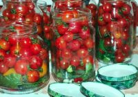 Ļoti vienkārša recepte garšīgiem marinētiem ķiršu tomātiņiem; tie ir vēl garšīgāki nekā svaigi